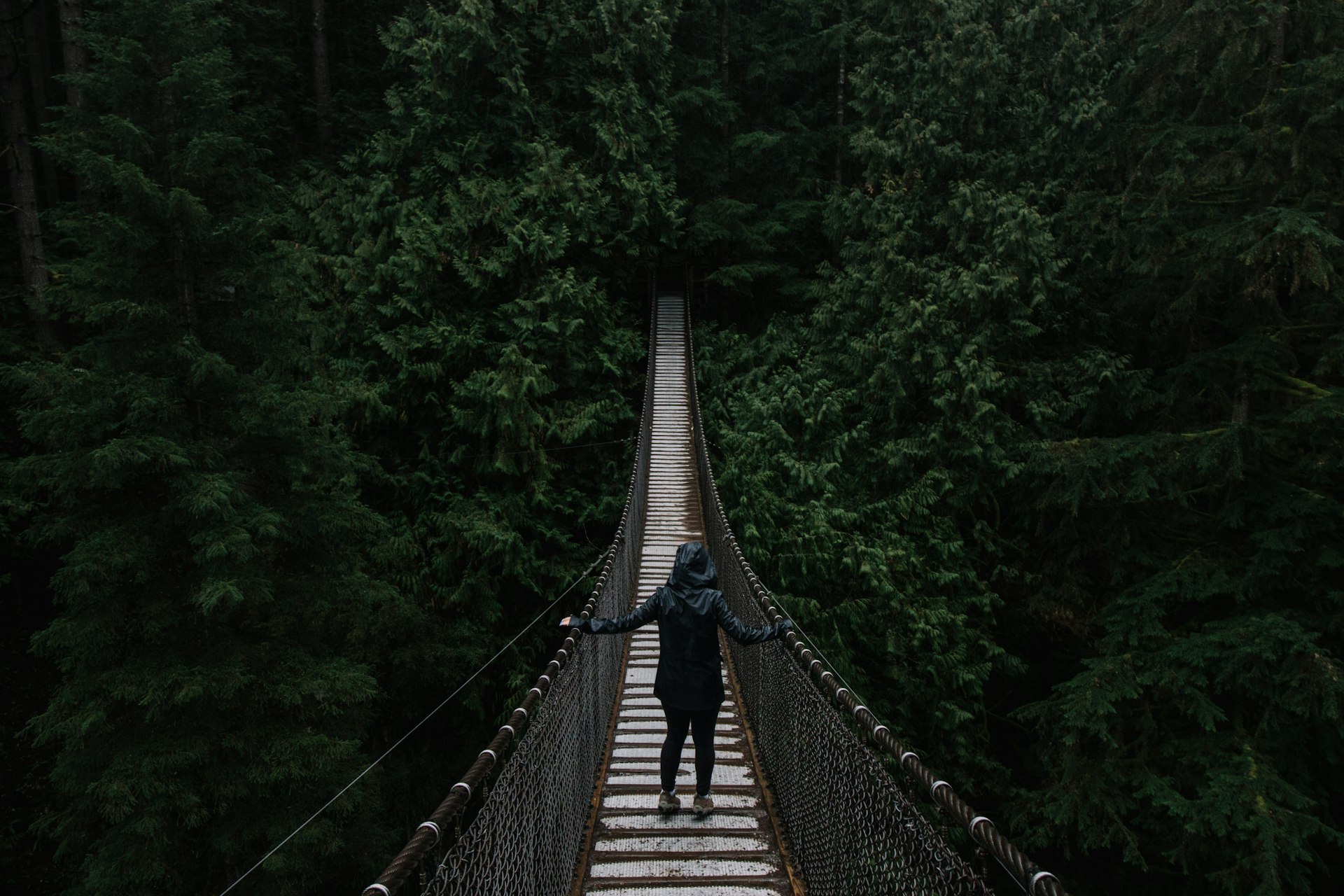 person in black hoodie on wooden bridge surrounded by green leafed trees
